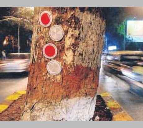 Tree Reflectors